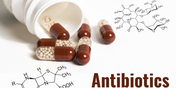 Com ajuda de inteligência artificial, cientistas descobriram novas moléculas antimicrobianas em arqueas, microrganismos primitivos. A descoberta pode levar à criação de antibióticos contra superbactérias resistentes.