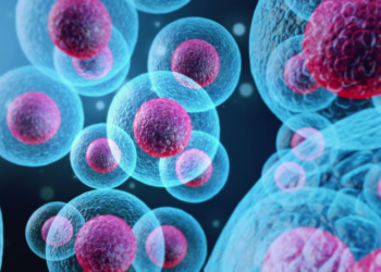 Estudo da Universidade da Coreia aponta que a proteína HMGB1 pode propagar o envelhecimento pelo sangue. Bloqueio pode retardar doenças e degeneração muscular.