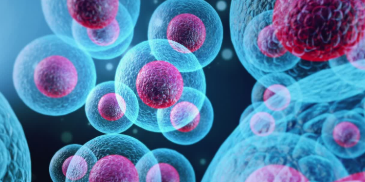Estudo da Universidade da Coreia aponta que a proteína HMGB1 pode propagar o envelhecimento pelo sangue. Bloqueio pode retardar doenças e degeneração muscular.