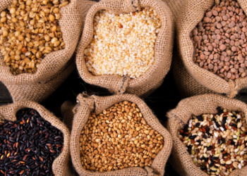 O IBGE divulgou a safra 2024: produção de grãos caiu 7,5% e valor agrícola recuou 3,9%. Mato Grosso lidera, mas perde 21,3% em valor. Algodão bate recorde de 8,5 milhões de toneladas.