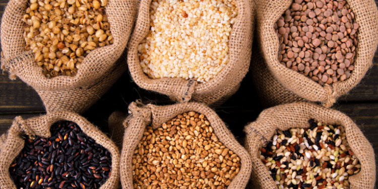 O IBGE divulgou a safra 2024: produção de grãos caiu 7,5% e valor agrícola recuou 3,9%. Mato Grosso lidera, mas perde 21,3% em valor. Algodão bate recorde de 8,5 milhões de toneladas.