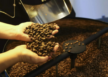 O café brasileiro pode voltar ao mercado norte-americano sem tarifas. Decreto de Trump abre possibilidade de isenção e reunião com Lula pode destravar negociações.