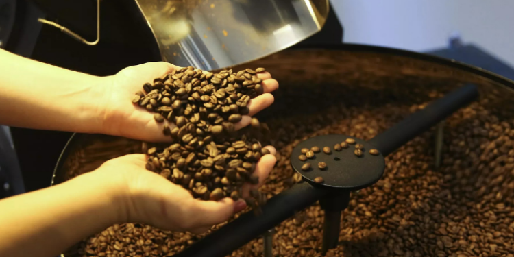 O café brasileiro pode voltar ao mercado norte-americano sem tarifas. Decreto de Trump abre possibilidade de isenção e reunião com Lula pode destravar negociações.