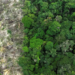 Estudo do MapBiomas revela que a Amazônia perdeu 52 milhões de hectares de vegetação nativa entre 1985 e 2024. A floresta se aproxima do ponto de não retorno, com avanço de soja, pastagens e mineração.