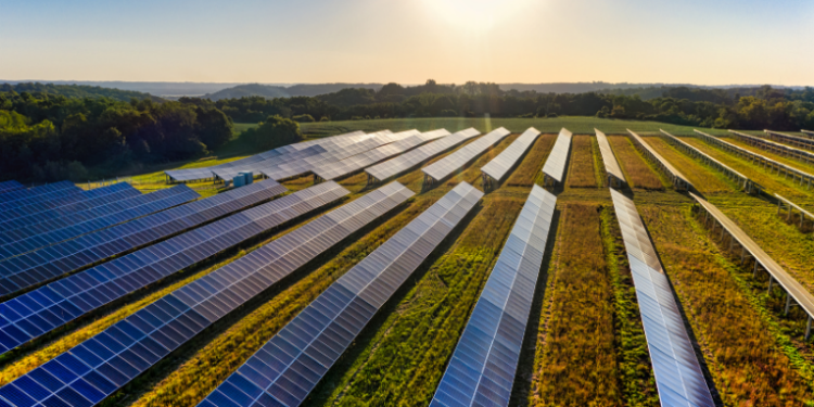 Com mais de 80% do mercado global de painéis solares, a China enfrenta uma crise interna sem precedentes: fábricas fechando, prejuízos de US$ 40 bilhões e governo intervindo para controlar a oferta e estabilizar preços.