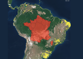 Entenda o impacto devastador do desmatamento na Amazônia, que perdeu 13% de seu território em 40 anos, segundo Mapbiomas. Saiba os motivos, as consequências e as medidas do governo para reverter este cenário crítico.