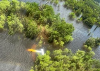 FAB intercepta aeronave irregular vinda do Peru e força pouso em Tefé (AM). Avião ignorou ordens de defesa aérea e foi submetido a tiros de detenção; piloto foi preso pela Polícia Federal.