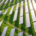 Data centers movimentam R$ 7,7 bi em contratos de energia renovável no Brasil