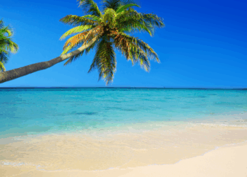 As 15 cidades mais caras da América Latina e Caribe: salários baixos e alto custo de vida ampliam desigualdades