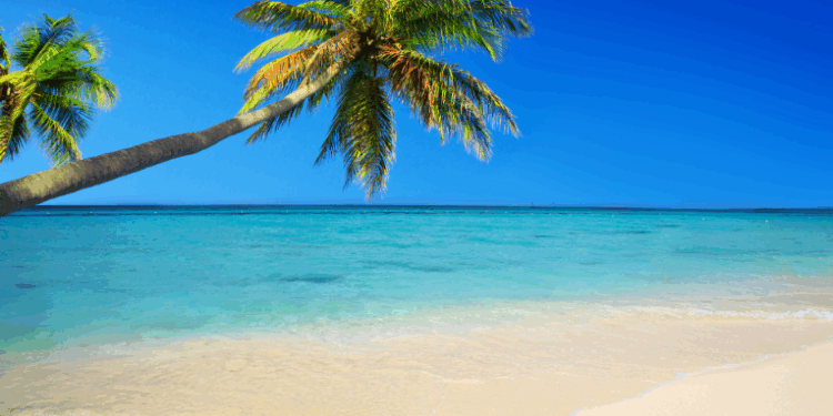 As 15 cidades mais caras da América Latina e Caribe: salários baixos e alto custo de vida ampliam desigualdades
