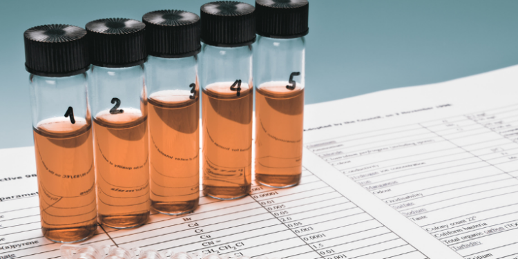 CFQ alerta que testes caseiros com bebidas suspeitas podem causar intoxicação por metanol. Veja como identificar produtos falsificados, denunciar e agir em emergências.