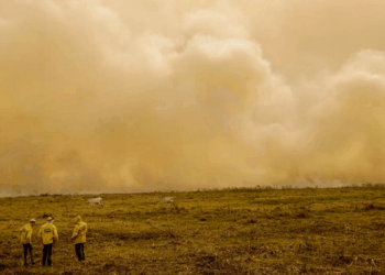  Relatório da The Lancet revela que 546 mil pessoas morrem anualmente por calor extremo e 154 mil pela fumaça de incêndios. Brasil pode liderar debate climático na COP30.