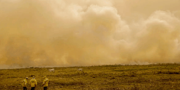  Relatório da The Lancet revela que 546 mil pessoas morrem anualmente por calor extremo e 154 mil pela fumaça de incêndios. Brasil pode liderar debate climático na COP30.