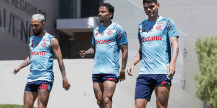 Fortaleza e Flamengo se enfrentam no Castelão em jogo decisivo pelo Brasileirão