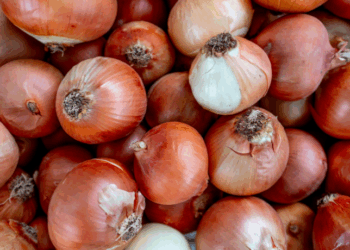 Prévia da inflação oficial mostra nova queda nos preços de alimentos e bebidas em outubro. Segundo o IBGE, o grupo acumula cinco meses de deflação e recuo de 0,98% desde junho.