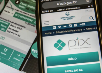 Pix pode alcançar 50% das transações do e-commerce brasileiro até 2028, segundo levantamento do setor.