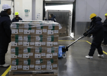 O Ministério da Saúde recebeu o primeiro lote do Trastuzumabe Entansina, remédio inovador para tratar o câncer de mama HER2-positivo. O investimento de R$ 159 milhões deve beneficiar mais de mil pacientes ainda em 2025.