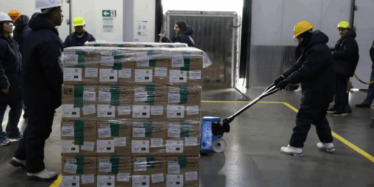 O Ministério da Saúde recebeu o primeiro lote do Trastuzumabe Entansina, remédio inovador para tratar o câncer de mama HER2-positivo. O investimento de R$ 159 milhões deve beneficiar mais de mil pacientes ainda em 2025.