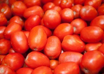 Versátil e nutritivo, o tomate é um aliado poderoso contra doenças cardíacas, inflamações e o envelhecimento da pele. Conheça seus principais benefícios e formas de consumo.