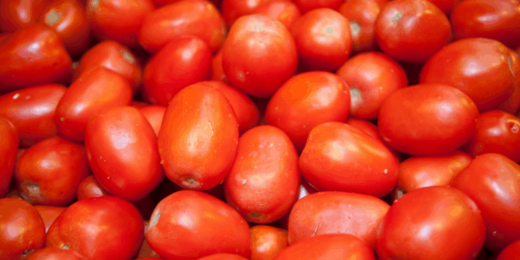 Versátil e nutritivo, o tomate é um aliado poderoso contra doenças cardíacas, inflamações e o envelhecimento da pele. Conheça seus principais benefícios e formas de consumo.