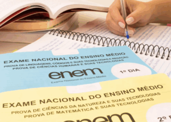 As notas do Enem estarão disponíveis a partir de 16 de janeiro. O desempenho pode ser usado para Sisu, Prouni e Fies, segundo o Ministério da Educação.