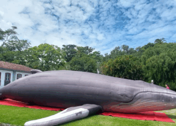 Baleia inflável de 14 metros atrai visitantes na Semana Nacional de Ciência no Jardim Botânico do Rio. Programação gratuita vai até 26 de outubro.
