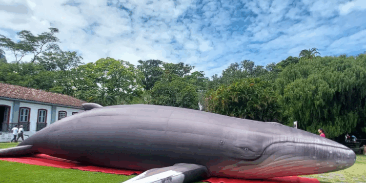Baleia inflável de 14 metros atrai visitantes na Semana Nacional de Ciência no Jardim Botânico do Rio. Programação gratuita vai até 26 de outubro.