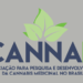 Polícia Civil de SP é acusada de destruir produção legal de canabidiol em associação medicinal