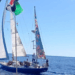 Brasileiros detidos por Israel ao tentar levar ajuda humanitária a Gaza desembarcam em São Paulo após negociação diplomática. Grupo relata momentos de tensão.