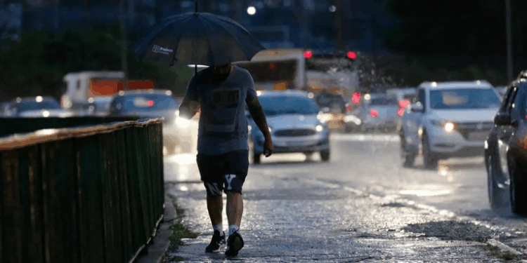 Frente fria provoca ventos de até 60 km/h e causa alagamentos, quedas de árvores e transtornos em várias cidades do estado de São Paulo nesta segunda (13).