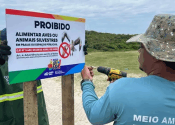 A Prefeitura de Cabo Frio iniciou a instalação de placas educativas para alertar banhistas sobre os riscos e proibição de alimentar gaivotas em praias e áreas turísticas. A prática afeta o comportamento das aves e pode gerar desequilíbrios ambientais.