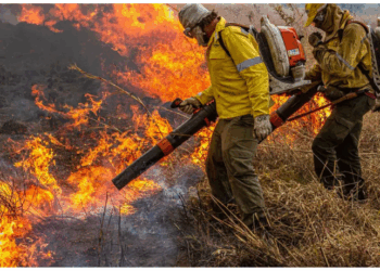 Durante a Pré-COP, em Brasília, o Brasil apresentou proposta de pacto global para combater incêndios florestais e fortalecer a resiliência climática. A iniciativa será oficializada na COP30, em Belém.