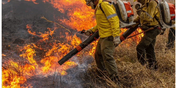 Durante a Pré-COP, em Brasília, o Brasil apresentou proposta de pacto global para combater incêndios florestais e fortalecer a resiliência climática. A iniciativa será oficializada na COP30, em Belém.