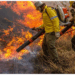 Durante a Pré-COP, em Brasília, o Brasil apresentou proposta de pacto global para combater incêndios florestais e fortalecer a resiliência climática. A iniciativa será oficializada na COP30, em Belém.