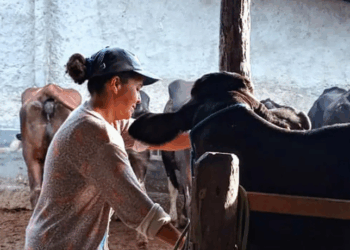 No Dia Internacional das Mulheres Rurais, ONU Mulheres pede ações para garantir direitos e igualdade. No Brasil, mulheres representam 30% da força rural e enfrentam desafios como informalidade e desigualdade salarial.