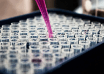 Estudo brasileiro confirma o exame de sangue com biomarcador p-tau217 como método confiável para diagnosticar Alzheimer. Pesquisas apoiadas pelo Instituto Serrapilheira visam ampliar acesso pelo SUS, facilitando diagnóstico precoce.