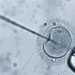 Pesquisa nos EUA gera óvulos humanos de células da pele, mas técnica ainda enfrenta desafios genéticos.