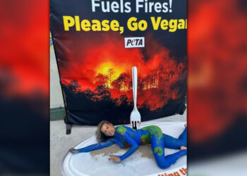 Luisa Mell protestou na COP30 em Belém com performance simbólica, denunciando a presença limitada de pratos vegetarianos e veganos e os impactos da alimentação de origem animal no meio ambiente.
