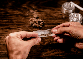 Relatório da Abin revela que o skunk colombiano é destinado ao mercado brasileiro, com preço até 175 vezes maior no país e consumo crescente nas regiões Sul e Sudeste.