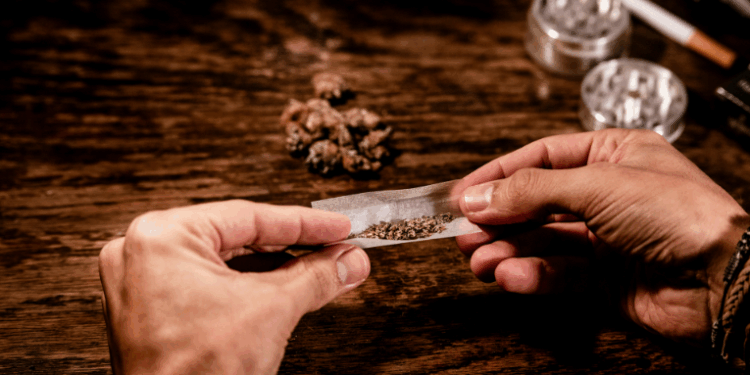 Relatório da Abin revela que o skunk colombiano é destinado ao mercado brasileiro, com preço até 175 vezes maior no país e consumo crescente nas regiões Sul e Sudeste.