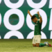 Com show de Vitor Roque, Palmeiras supera o Santos e segue firme na ponta