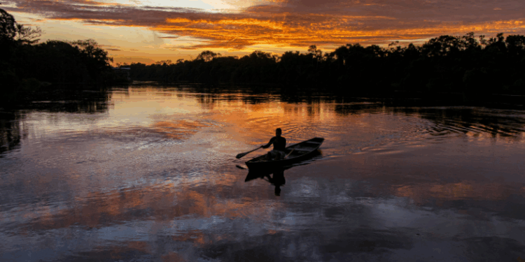Exploração de petróleo na Amazônia é autorizada por Lula e causa polêmica ambiental