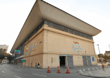 AquaRio faz 9 anos com entrada gratuita para aniversariantes de novembro