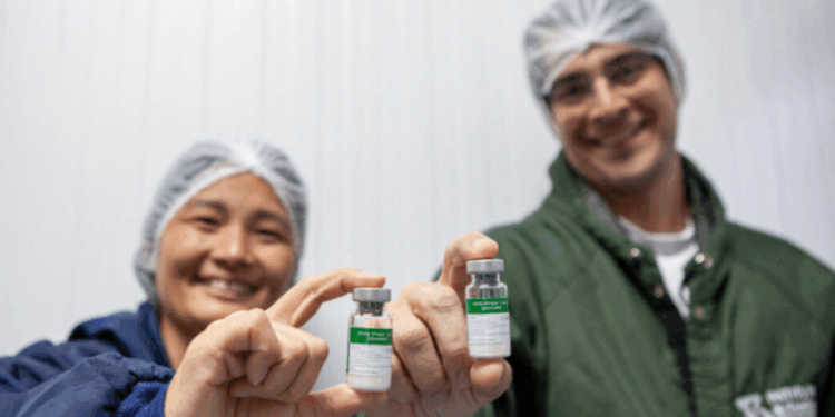 Anvisa aprova a Butantan-DV, primeira vacina brasileira contra dengue. De dose única e com eficácia comprovada, o imunizante será integrado ao PNI e já conta com mais de 1 milhão de doses produzidas.