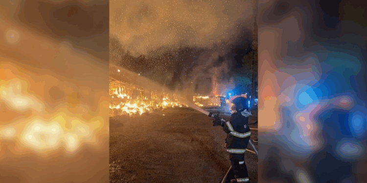 Trem carregado com celulose é incendiado em Cubatão; polícia investiga ação criminosa