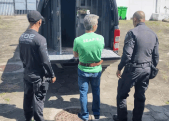 Rogério Andrade, sobrinho de Castor de Andrade, deixará o regime disciplinar diferenciado e voltará para presídio no Rio. Investigação sobre assassinato de Fernando Iggnácio segue em andamento.