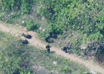 Megaoperação na Penha e no Alemão eleva número de agentes baleados em serviço no Rio
