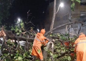 Chuva forte atingiu o Rio de Janeiro na madrugada deste sábado, causou quedas de árvores, postes e interdições parciais de vias. Prefeitura mantém alerta meteorológico.