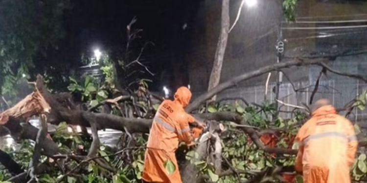 Chuva forte atingiu o Rio de Janeiro na madrugada deste sábado, causou quedas de árvores, postes e interdições parciais de vias. Prefeitura mantém alerta meteorológico.