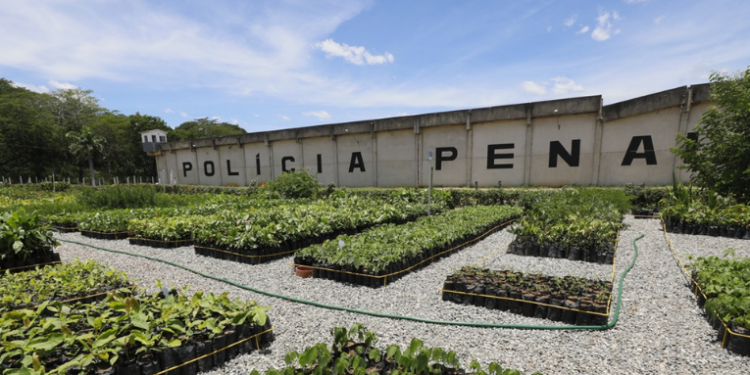 O programa socioambiental Replantando Vida, da Cedae, ganhou um importante reforço nesta quinta-feira (11) com a inauguração do viveiro florestal João Paulo Tinoco